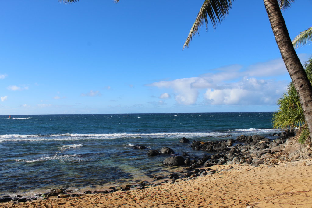 Things To Do in Maui on a Budget: Fun, Cheap Things to Do in Maui for  Everyone - Sea Salt & Fog